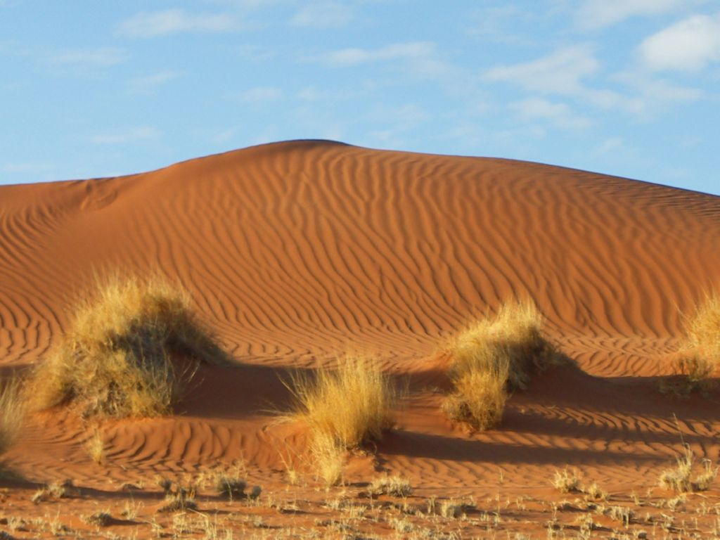 namib desert